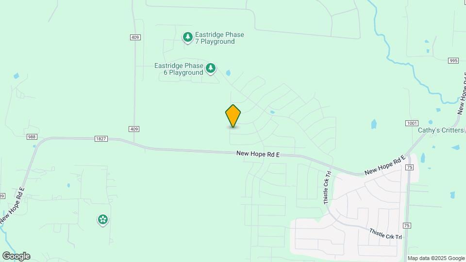 1010 Rosemary Hl Dr Map and Location Details