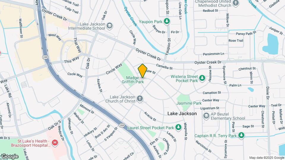 406 Magnolia Ln Mapa y Detalles de la Ubicación