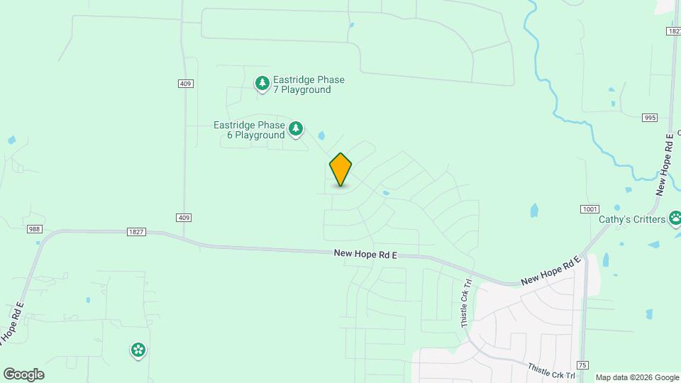 1002 London Town Ln Map and Location Details