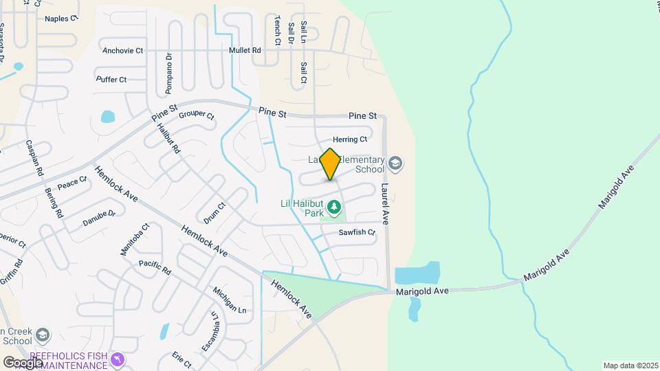 141 Inconnu Ct Map and Location Details