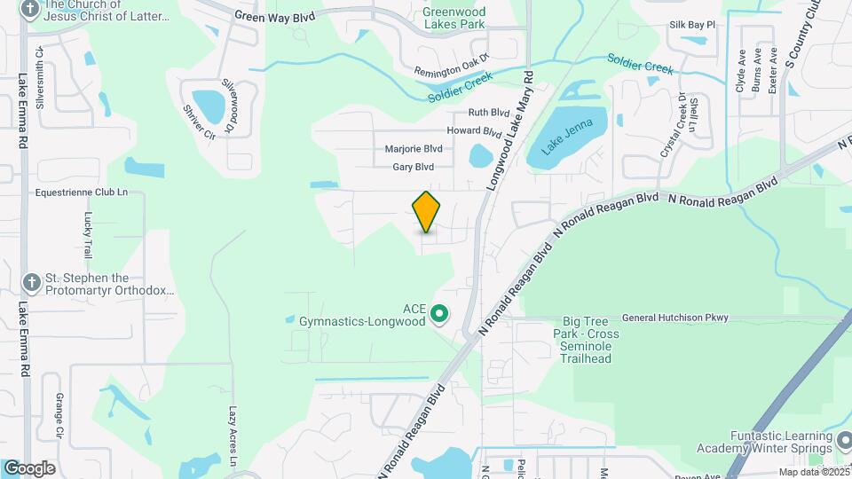 1537 Downy Birch Ln Map and Location Details