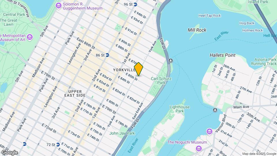 509 E 85th St Mapa y Detalles de la Ubicación