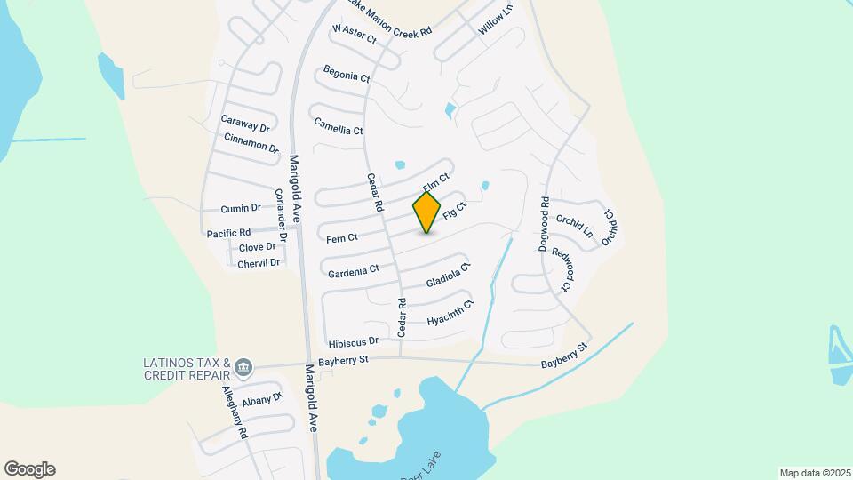 215 Goldenrod Ln Map and Location Details