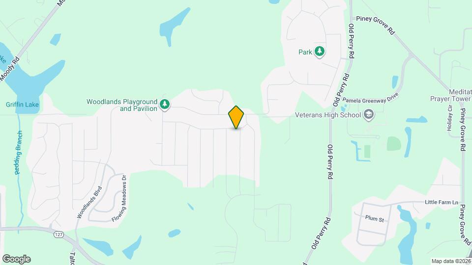 100 Dewberry Trl Map and Location Details