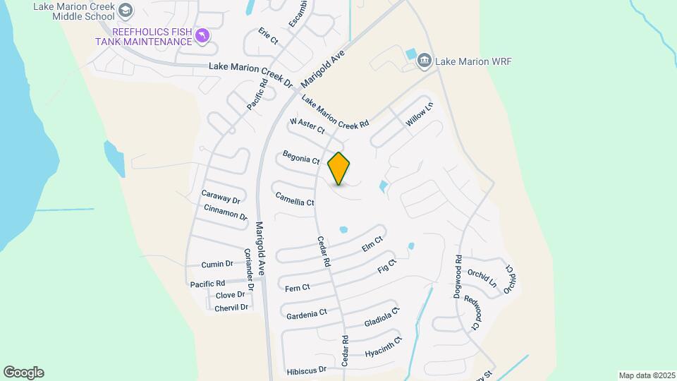 231 Begonia Ln Map and Location Details