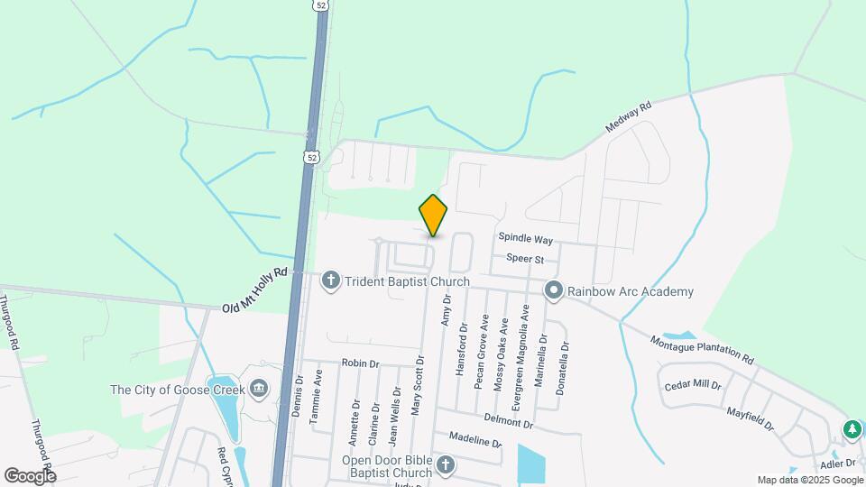 236 Swallowtail Ln Map and Location Details