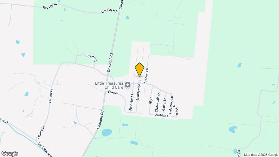 9816 Brandywine Ln Mapa y Detalles de la Ubicación