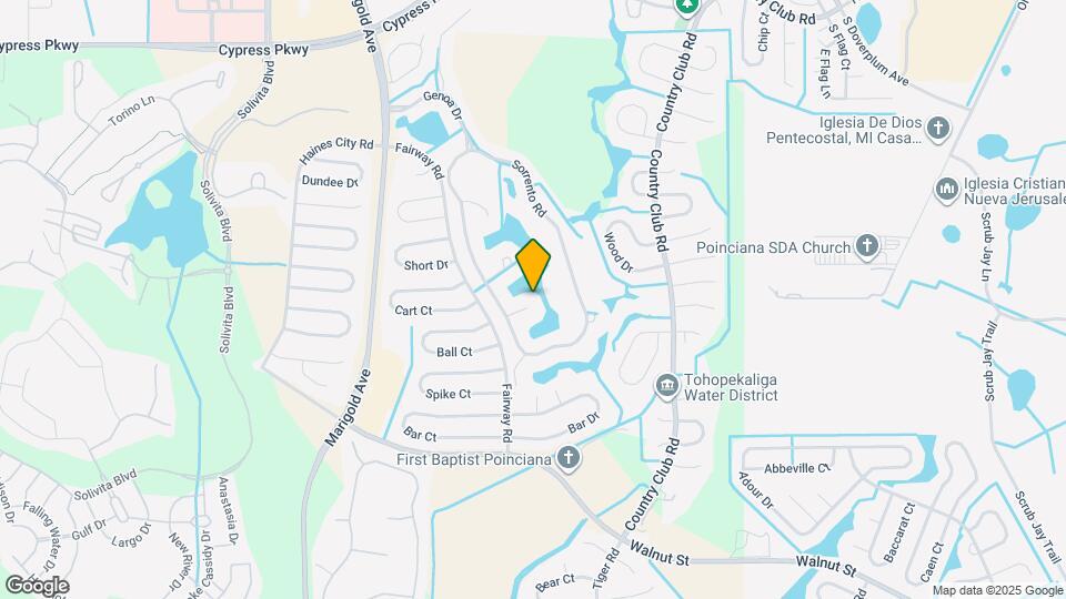 113 Tivoli Trace Ct Map and Location Details