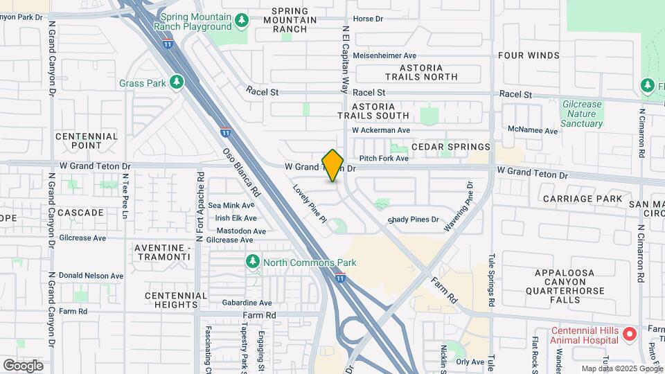 8800 Big Bear Pines Ave Map and Location Details