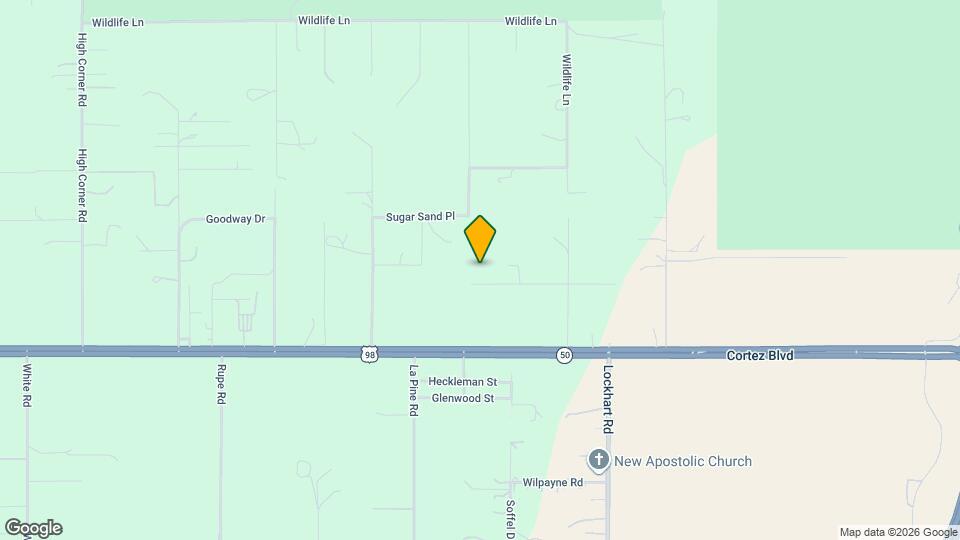 29205 Saddle Oaks Ln Mapa y Detalles de la Ubicación