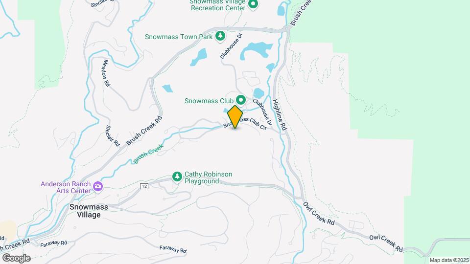 294 Snowmass Club Cir Mapa y Detalles de la Ubicación