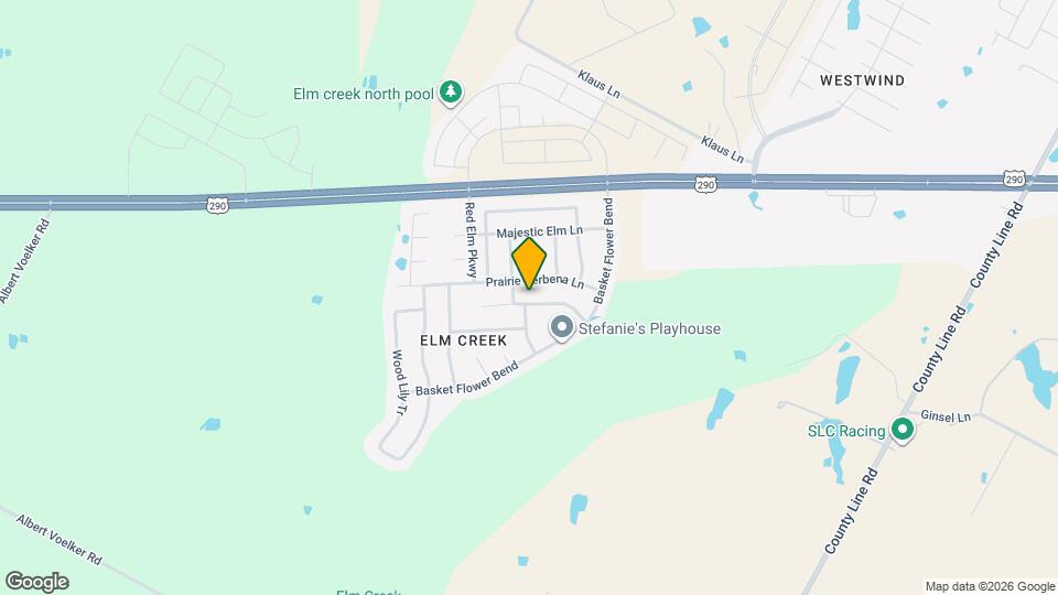 17912 Aleppo Pine Map and Location Details