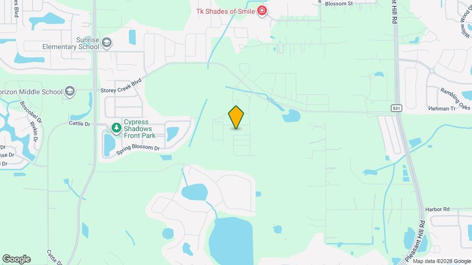 4253 Twisted Twig Bnd Map and Location Details