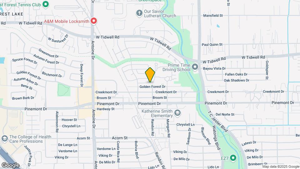 5006 Golden Forest Dr Mapa y Detalles de la Ubicación