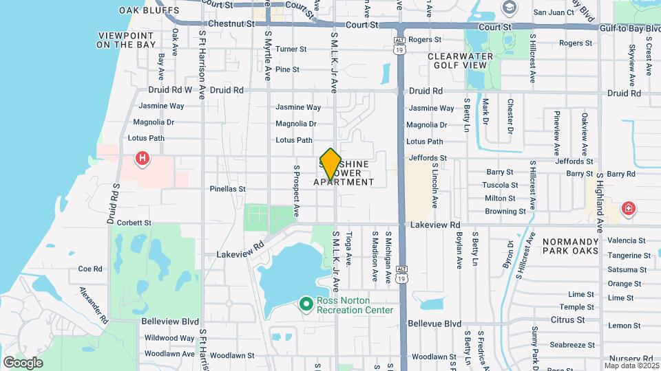 1008 Pinellas St Map and Location Details