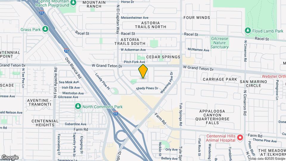 8616 Hidden Pines Ave Map and Location Details