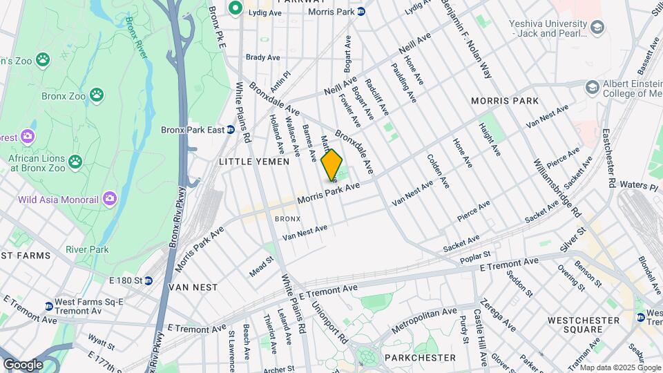 813-815 Morris Park Ave Mapa y Detalles de la Ubicación