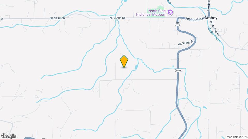 39013 NE 207th Ave Map and Location Details