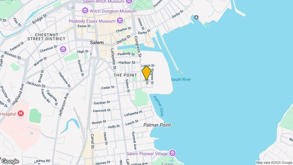 64 Palmer St Mapa y Detalles de la Ubicación