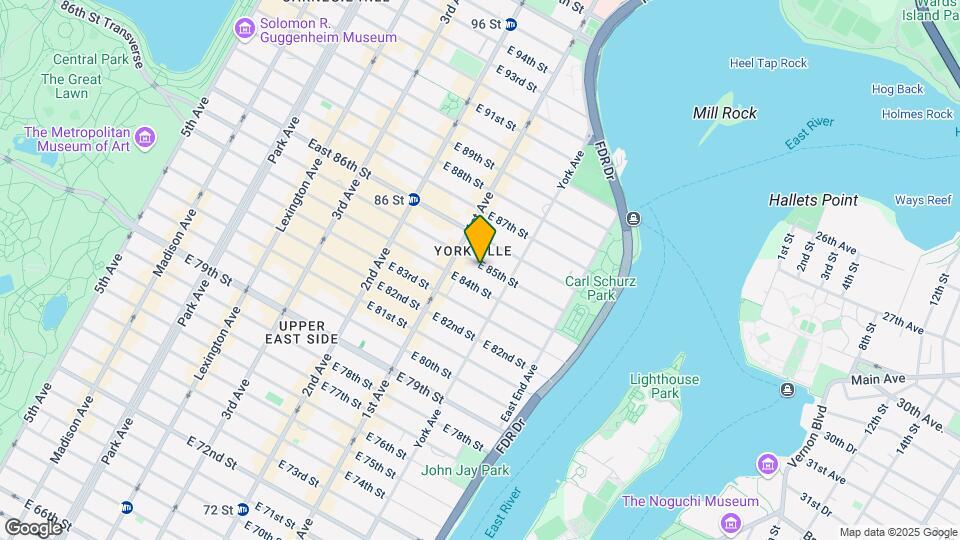422 E 85th St Mapa y Detalles de la Ubicación