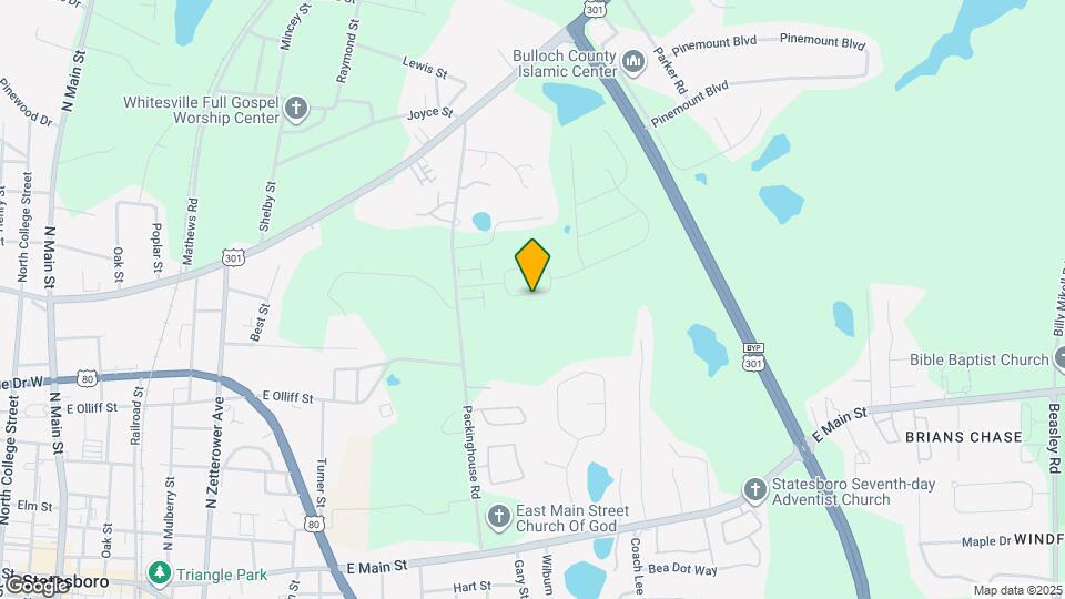 173 Braxton Blvd Map and Location Details