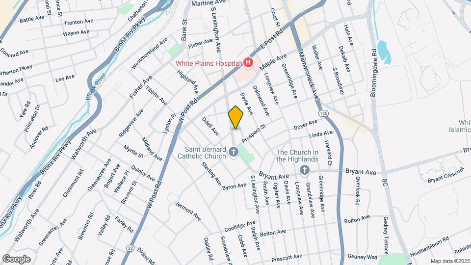 291 S Lexington Ave Map and Location Details