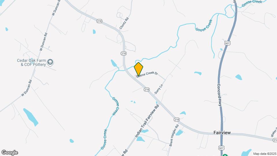 717 Goose Creek Dr Mapa y Detalles de la Ubicación