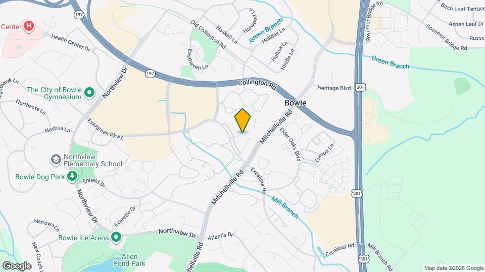 3919 Elite St Map and Location Details