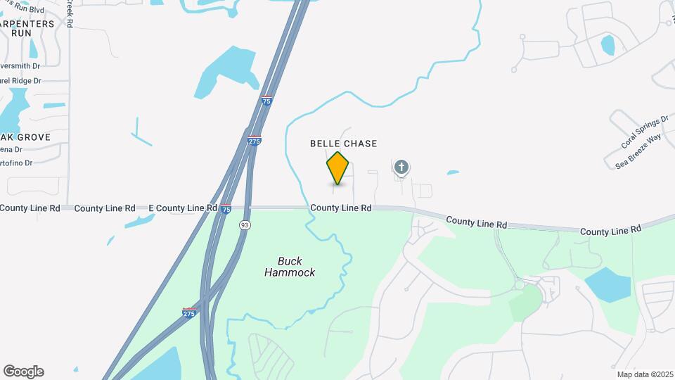 1036 Napolean Way Mapa y Detalles de la Ubicación