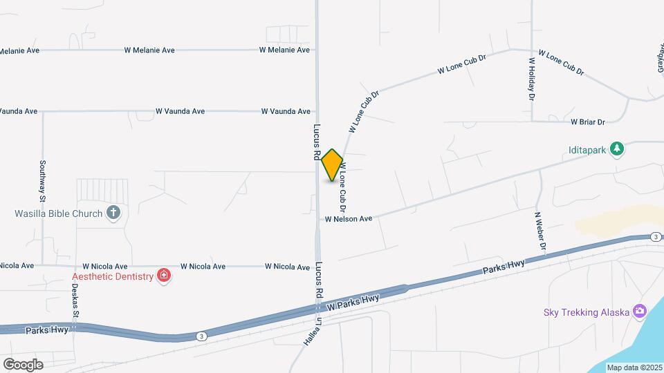 1175 W Lone Cub Dr Mapa y Detalles de la Ubicación