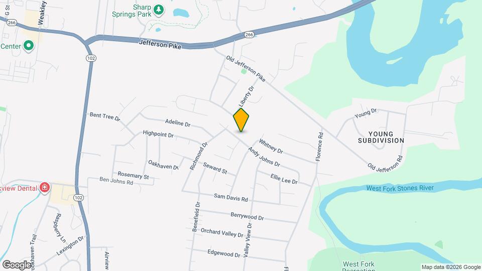 207 Andy Johns Dr Mapa y Detalles de la Ubicación