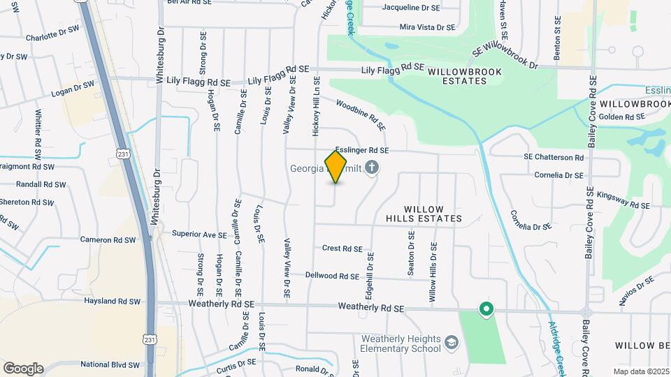 712 Bluewood Dr SE Map and Location Details