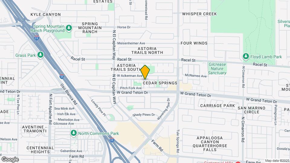 8036 N Copperhead Creek St Map and Location Details