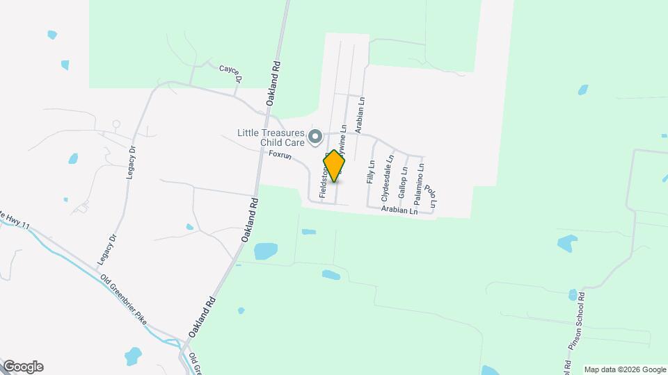 113 Brandywine Ln Mapa y Detalles de la Ubicación