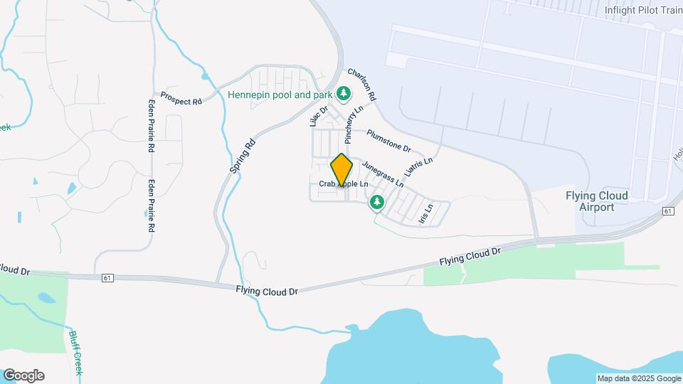 10006 Pincherry Ln Map and Location Details