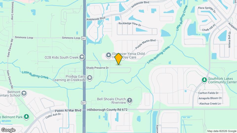 10620 Shady Preserve Dr Mapa y Detalles de la Ubicación