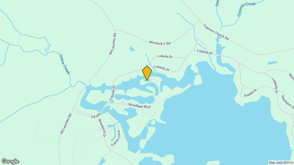 384 Bald Cypress Dr Map and Location Details