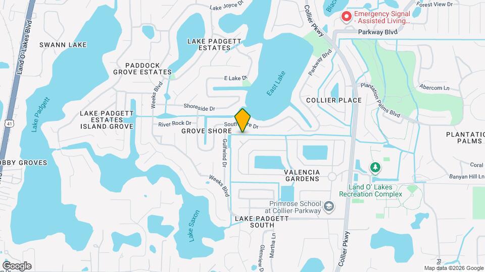 3204 Hanging Vine Ct Mapa y Detalles de la Ubicación