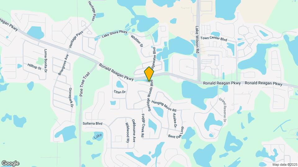 110 Sunridge Woods Ct Map and Location Details