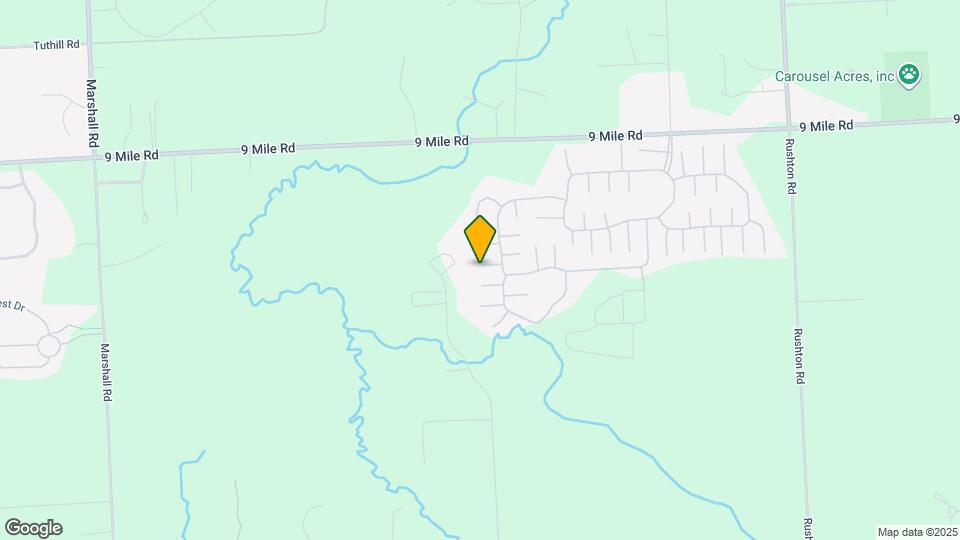 11756 Willow Ridge Ct Mapa y Detalles de la Ubicación