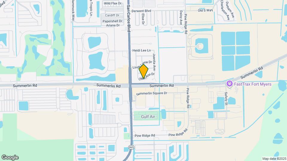 11451 Char Ann Dr Mapa y Detalles de la Ubicación