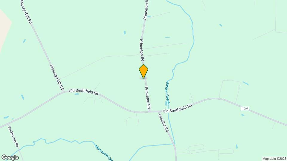 207 Princeton Rd Map and Location Details