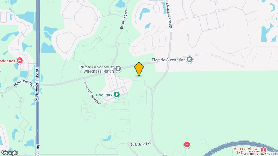 28905 Orange Berry Dr Map and Location Details