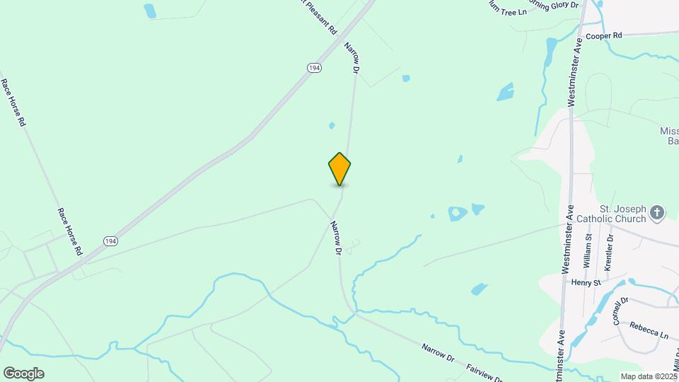 251 Narrow Dr Map and Location Details