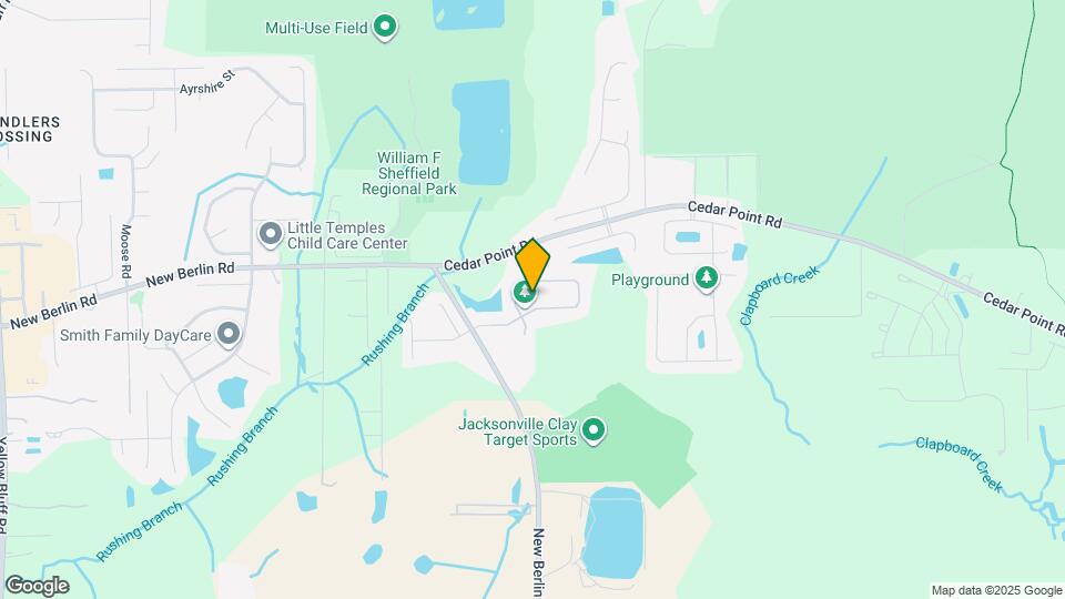 3853 Ringneck Dr Mapa y Detalles de la Ubicación