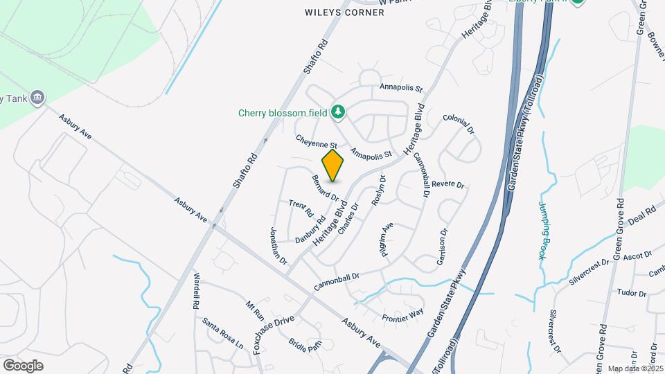 40 Diane Dr Map and Location Details