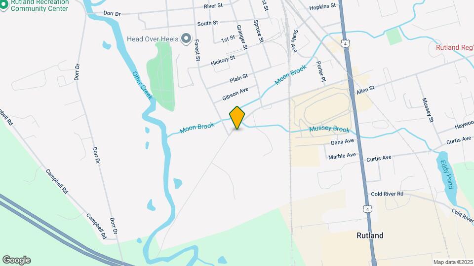 117 Park St Mapa y Detalles de la Ubicación