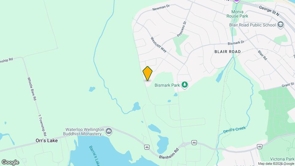 294 Newman Dr Map and Location Details