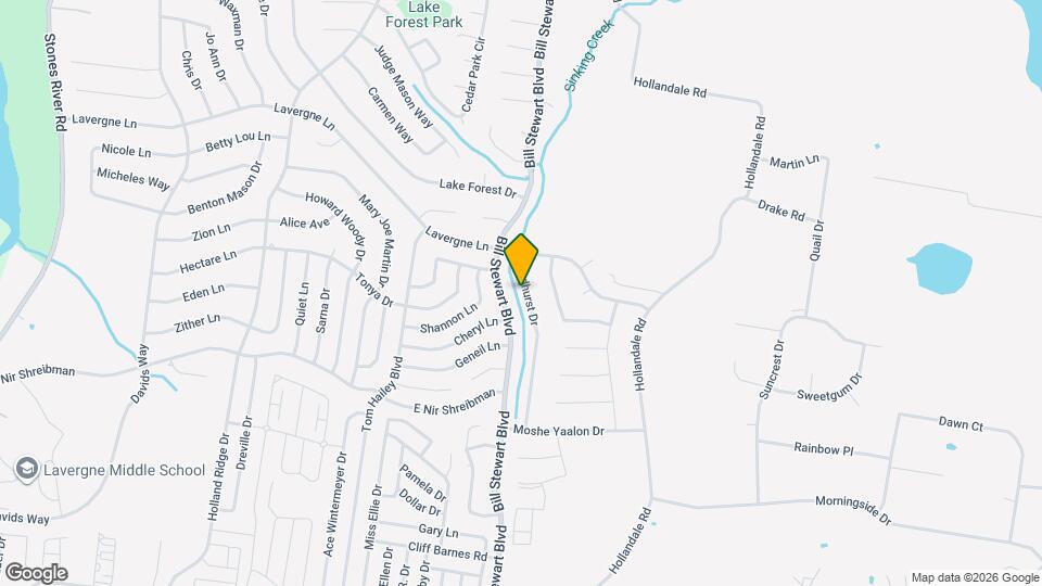 141 Lyndhurst Dr Mapa y Detalles de la Ubicación
