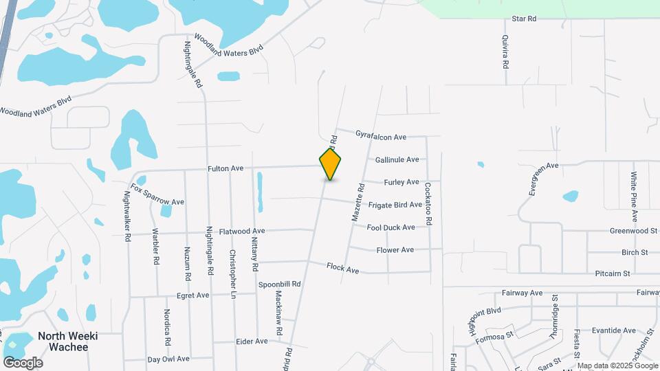 8430 MADRID Rd Map and Location Details